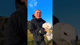 He saved a seagull from being hit by a car while riding around the world#birds #save #cute #shorts