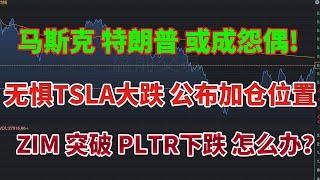 马斯克特朗普或成怨偶！无惧TSLA大跌！公布加仓位置！ZIM突破 PLTR下跌 怎么办？最新PPI数据 通胀要起来了！美联储降息节奏！#tsla #zim #nvda #pltr