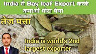 how to export bay leaf from india I how to earn money from bay leaf I rajeevsaini