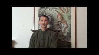 Promo Video - Sifu Sam Chan