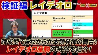 【検証編 レイデオロ】ポテンシャルが低いわけではない！ 本領発揮はこれから！