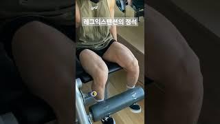레그익스텐션의 정석으로 가는 길