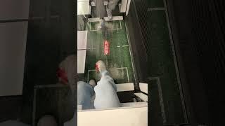 Pov : sei in aeroporto e hai trovato il passatempo perfetto️ #shorts #calcio