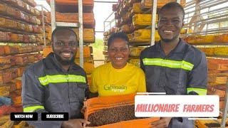 How Two Graduates Started Lucrative Business Out Of Insects By Producing Fertilzer & Livestock Feed