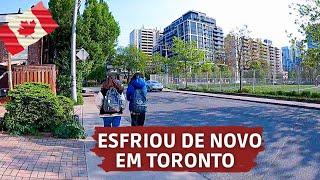 COMO SÃO AS TEMPERATURAS EM TORONTO  Walk | Clima - Viajar para o Canadá