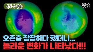 오존층 2040년까지 완전히 회복되는 이유 / 온실 속 왓슈 