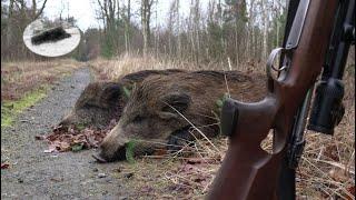 HUNTING WILD BOAR IN JANUARY 2023