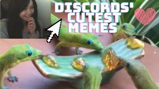 DISCORDS CUTEST MEMES  CHALLENGE