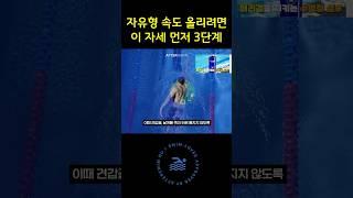 자유형 속도 올리려면 이 자세 먼저 3단계 #수영배우기 #수영강습