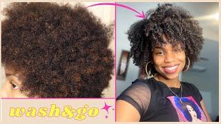 HOW TO ACHIEVE A PERFECT WASH AND GO ON TYPE 4 HAIR | Ft. UFD