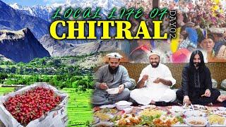 Local Chitrali Life Style VS Chitrali Prince  Life style | House Tour & Food & Farms