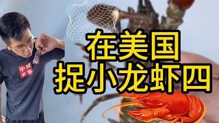 給你們講個笑話：“保羅抓小龍蝦。”