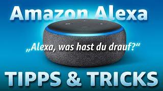 Geniale Tipps für Alexa, die Du kennen MUSST!