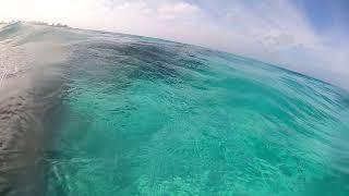 More snorkling at Green Cay, Bahamas