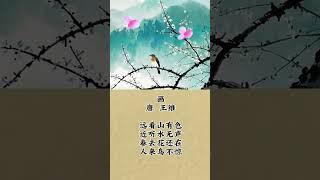 中国学经典古诗诵读《画》 #人生感悟 #弘扬正能量 #正能量