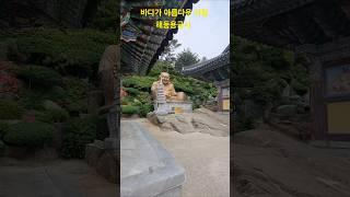 #해동용궁사 #소원성취 #korea #travel