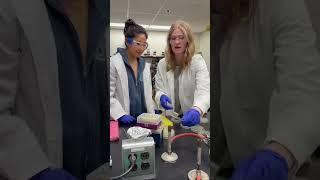Day in the life: Biochemistry & Public Health student│University of Maryland Science #collegelife