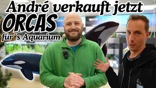 Seltene Fische entdecken & Pflanzen abholen – Ladentour bei André @AQUAddicted