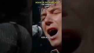 House Of The Rising Sun - The Animals, 운명을 노래한 록 명곡, 애니멀스의 대표작