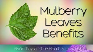 Mulberry Leaves: Benefits (Tea)