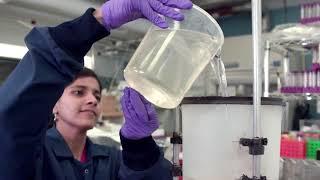 J-WAFS: the Abdul Latif Jameel Water & Food Systems Lab at MIT (EN, 16:9)