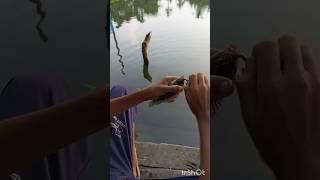 Traditional Hook Fishing // Smart Boy Fishing Hook/ #shortvideo