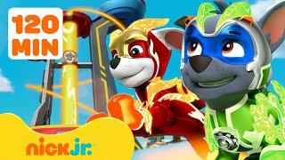 I salvataggi e le avventure più ADORABILI dei PAW Patrol!  2 ore | Nick Jr. Italia