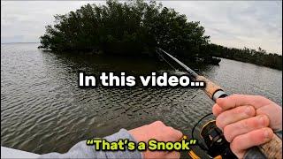 FISHING FOR SNOOK AND REDFISH IN TAMPA BAY FL | MUST WATCH…