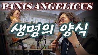 Panis Angelicus (생명의 양식)