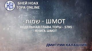 Недельная глава Торы - Парашат а-шавуа - "ШМОТ" 5785/2025. Дмитрий Калашник