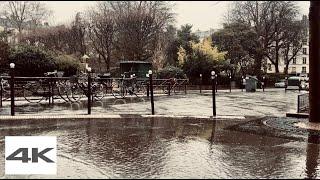 "Raindrops & Reflections: A Delightful Walk Along a Wet Park Street"