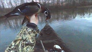 Duck Hunting 2020 - Woodies In Our Lap