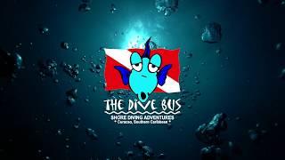 Seriously fun shore diving adventures, The Dive Bus, Curacao - the chilled version ...