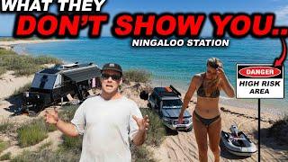 THE Silent Vehicle KILLER at Ningaloo Beach Camps / fishing and 4x4 Ningaloo coast