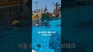 시흥 워터파크 웨이브파크 다이빙 스타트