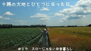 【＃２９スローじゃない田舎暮らし】アラ環で北海道に移住しました新しい家で、新しい人生の始まりです(ﾟ∀ﾟ)