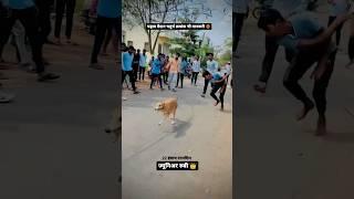 dog res Kolhapur| Dog Race | Kolhapur Dog Racing/Dog Race Maharashtra/Dog Race kholapur #shorts