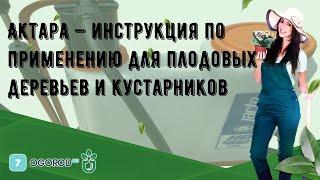 Актара — инструкция по применению для плодовых деревьев и кустарников