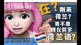 刚来荷兰上大学，要不要学荷兰语？前辈告诉你答案！