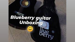 Blueberry guitar  review 