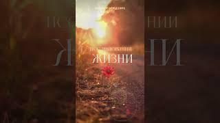 Суть познания #shortvideo #shorts