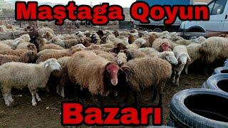 Maştaga Qoyun Bazarı 23 yanvar 2022 #elixezer #mastagaqoyunbazari #heyvandarlıq