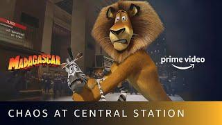 What's Happening At The Grand Central Station? | Madagascar | Amazon Prime Video