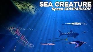 FASTEST Sea Creatures on the Planet | Speed Comparison