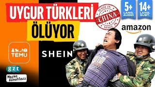 Which brands are exploiting East Turkestan?