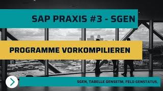 SAP Praxis #3 - Objekte vorgenerieren mit SGEN