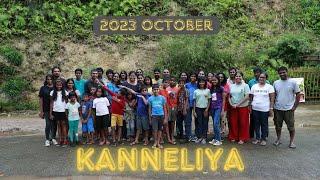 Kanneliya I Nature I Tropical Rain Forest