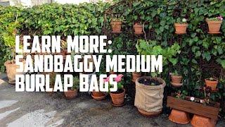 Learn More: Sandbaggy 22" x 36" Medium Burlap Bags - Great for Gardening, Potatoes & More