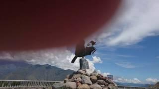 MIRADOR DEL CÓNDOR - MIRA - CARCHI