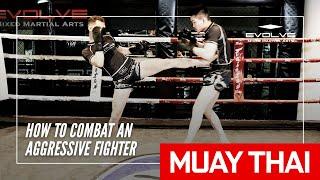 How To Combat An Aggressive Fighter In Muay Thai | Evolve MMA